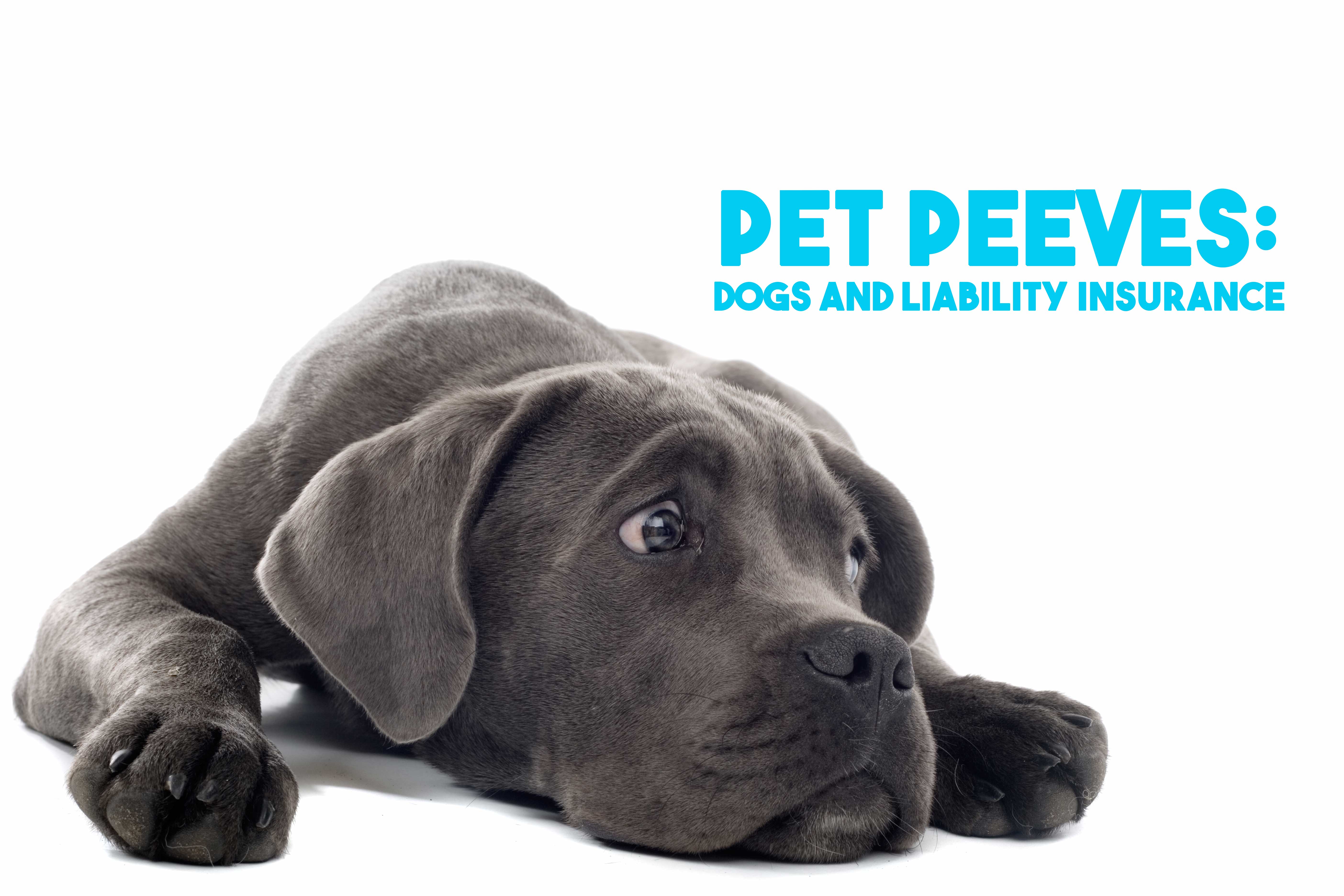 Pet-Peeves_-Dogs-and-Liability-Insurance-1.jpg